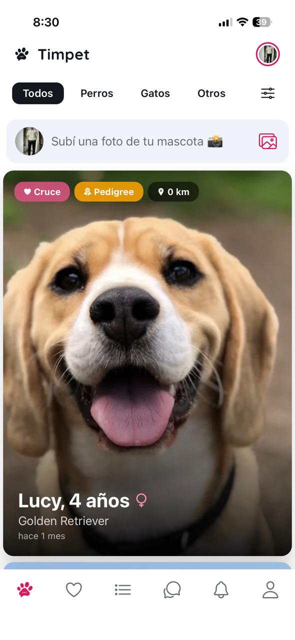 Feed de Timpet